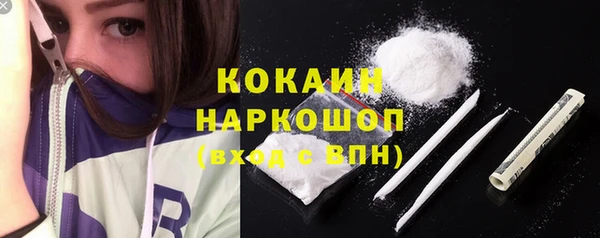 индика Армянск