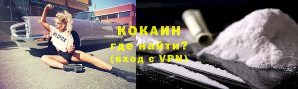 индика Армянск