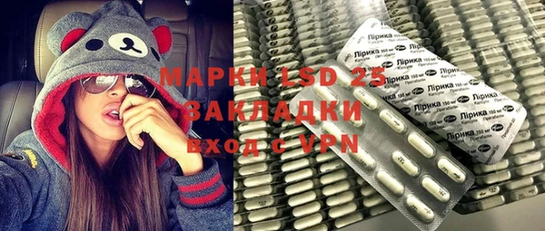 индика Армянск
