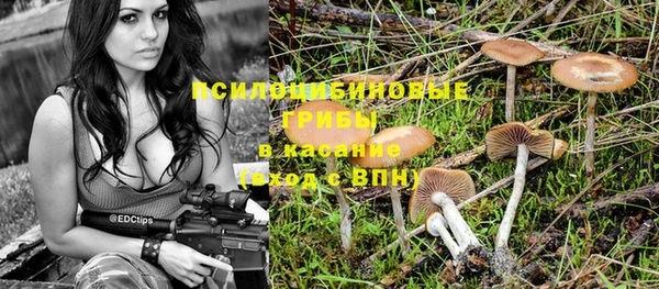 эйфоретик Аркадак
