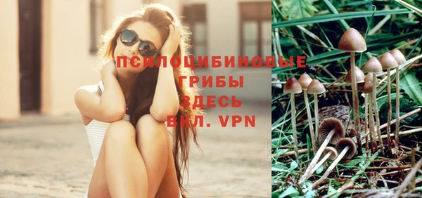 эйфоретик Аркадак